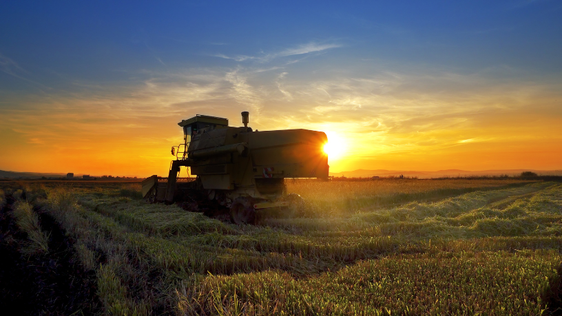 Prevenir é crescer com segurança: Dr. Aroldo Fernandes da Luz orienta o agro.