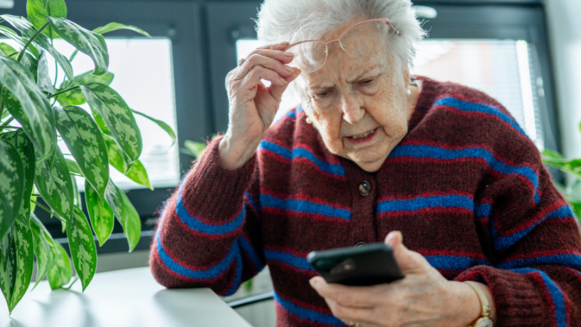 Sindnapi - Sindicato Nacional dos Aposentados, Pensionistas e Idosos