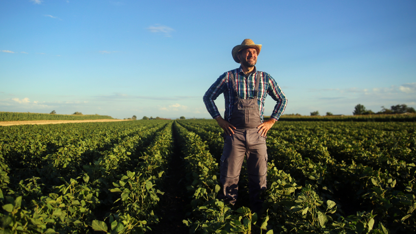Alfredo Moreira Filho